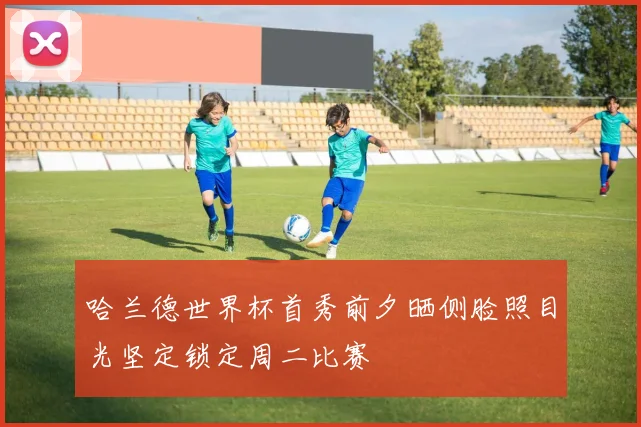 哈兰德世界杯首秀前夕晒侧脸照目光坚定锁定周二比赛